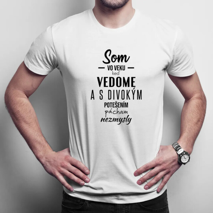Som vo veku, keď - pánske tričko s potlačou