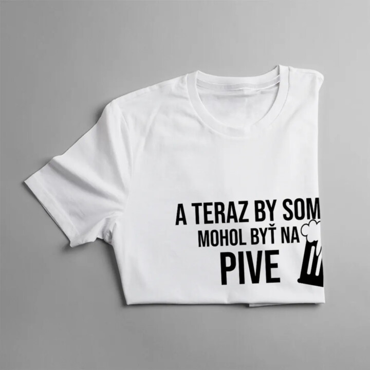 A teraz by som mohol byť na pive - pánske tričko s potlačou