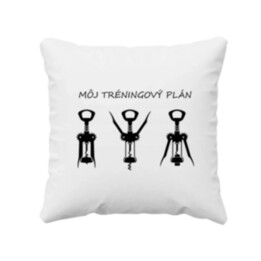 Môj tréningový plán - vankúš s potlačou