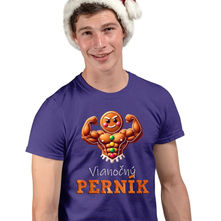 Vianočný perník V4 - pánske tričko s potlačou
