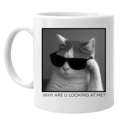 Why are u looking at me? - mačka v okuliaroch - keramický hrnček s potlačou
