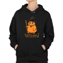 Wizard - mačací čarodejník  - dámska mikina s potlačou
