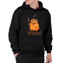 Wizard - mačací čarodejník  - pánska mikina s potlačou