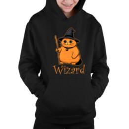 Wizard - mačací čarodejník - detská mikina s kapucňou