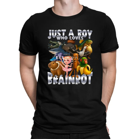 Just a boy who loves brainrot - pánske tričko s potlačou