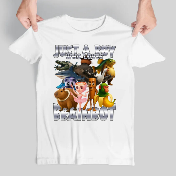 Just a boy who loves brainrot - pánske tričko s potlačou