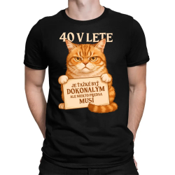 40 v lete – Je ťažké byť dokonalým, ale niekto predsa musí - pánske tričko s potlačou