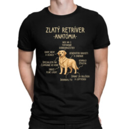 Zlatý retríver – anatómia - pánske tričko s potlačou
