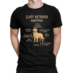 Zlatý retríver – anatómia - pánske tričko s potlačou