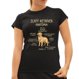 Zlatý retríver – anatómia - dámske tričko s potlačou