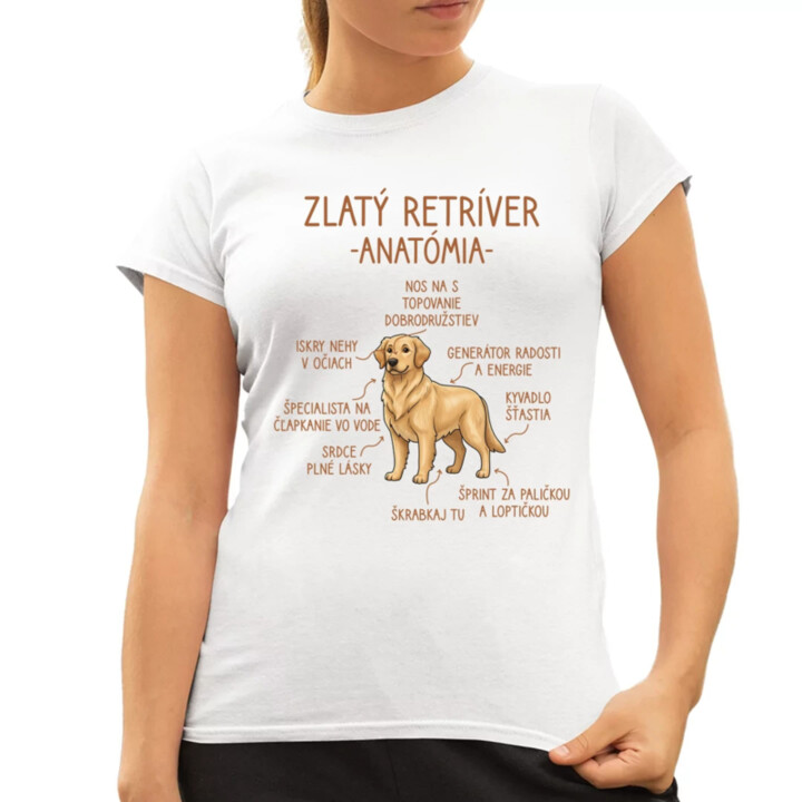 Zlatý retríver – anatómia - dámske tričko s potlačou
