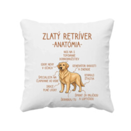 Zlatý retríver – anatómia - vankúš s potlačou