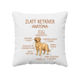 Zlatý retríver – anatómia - vankúš s potlačou