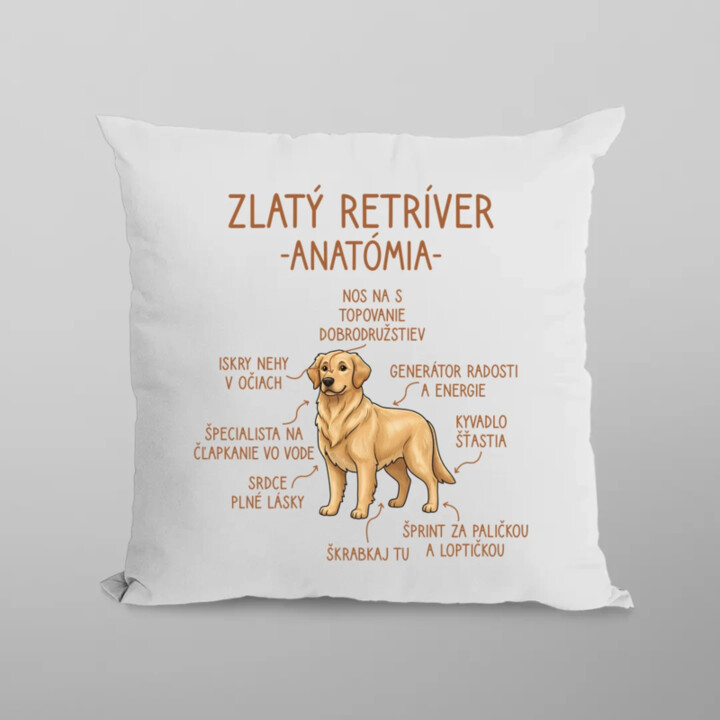 Zlatý retríver – anatómia - vankúš s potlačou