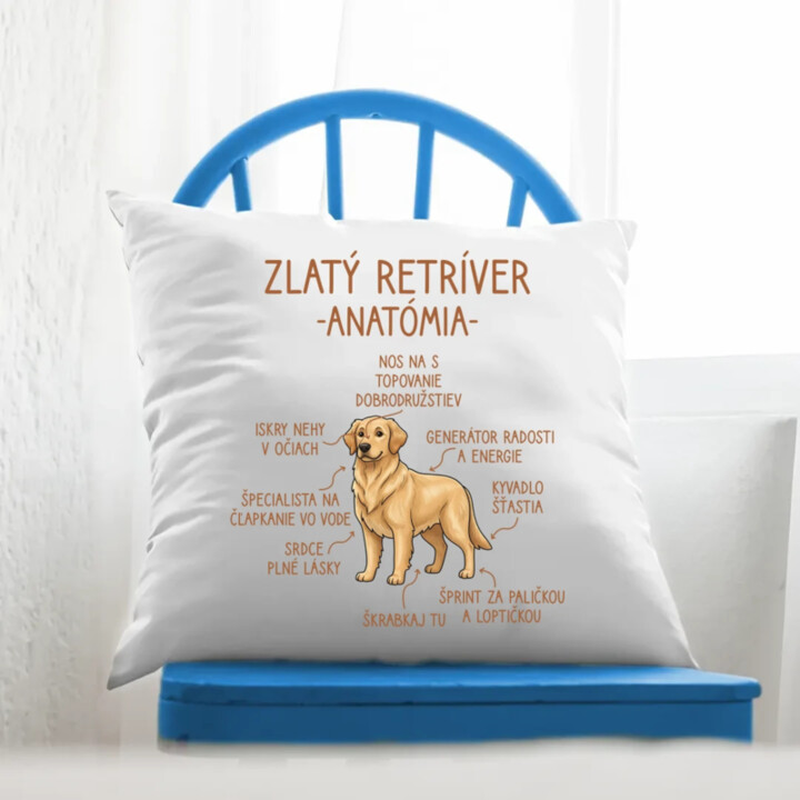 Zlatý retríver – anatómia - vankúš s potlačou