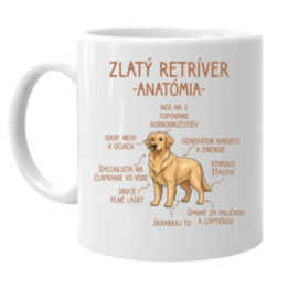 Zlatý retríver – anatómia - keramický hrnček s potlačou