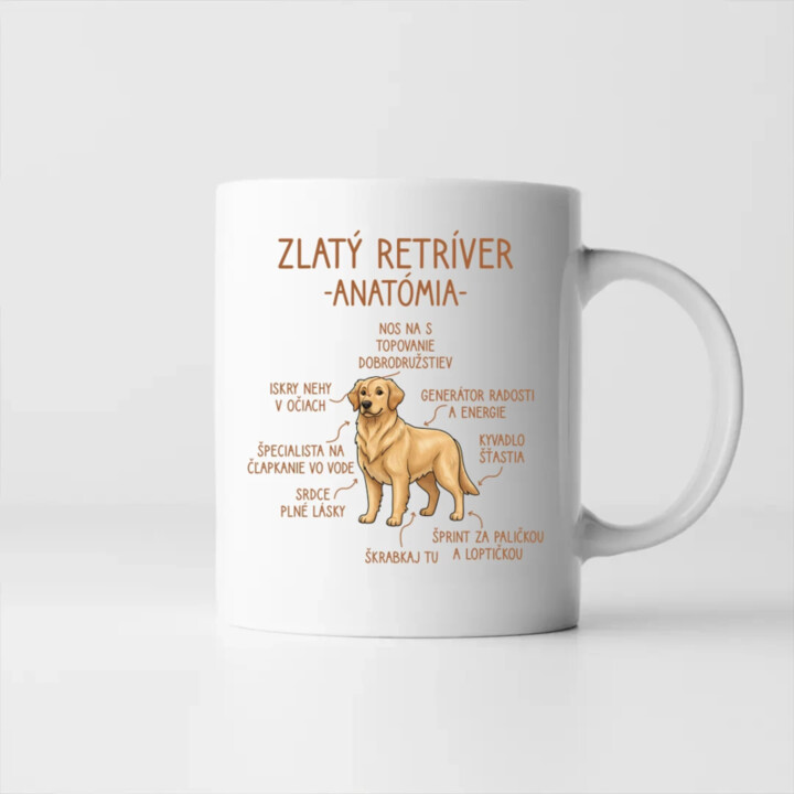 Zlatý retríver – anatómia - keramický hrnček s potlačou