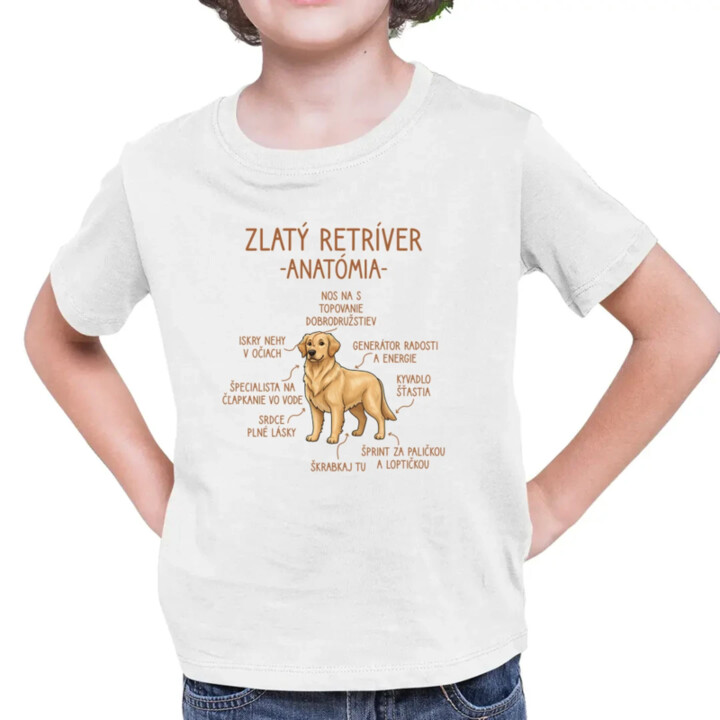 Zlatý retríver – anatómia - detské tričko s potlačou