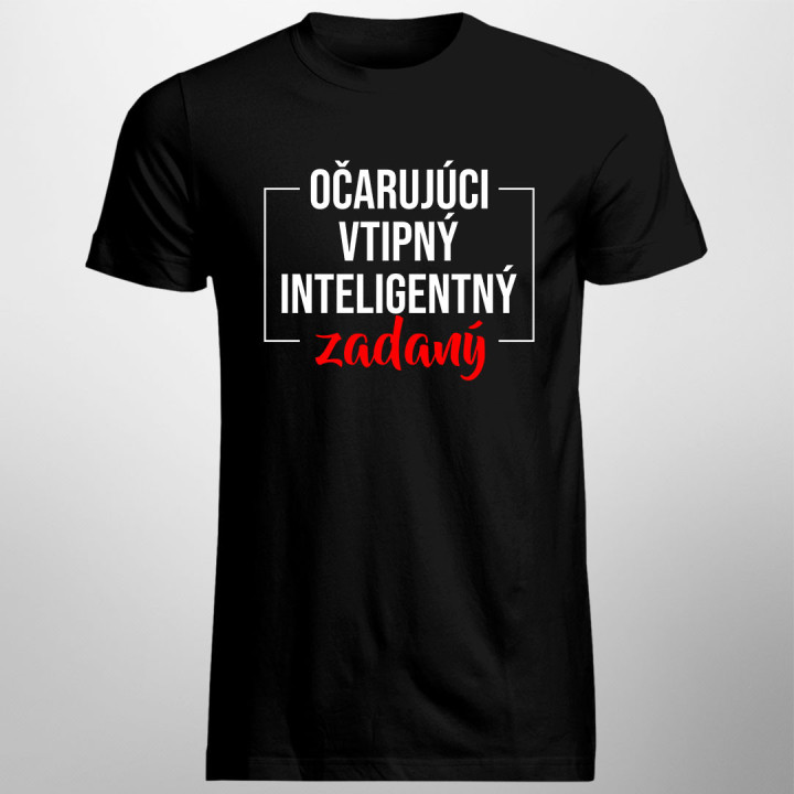 Očarujúci, vtipný, inteligentný, zadaný - pánske tričko s potlačou