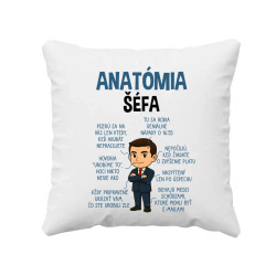 Anatómia šéfa - vankúš s potlačou