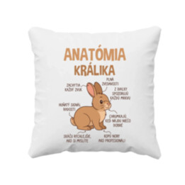 Anatómia králika - vankúš s potlačou