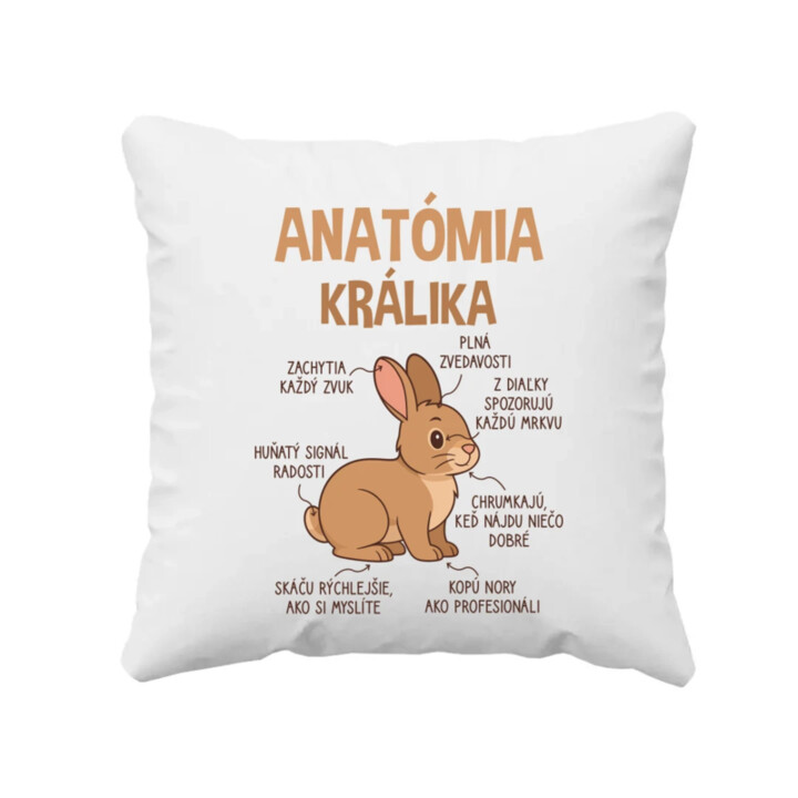 Anatómia králika - vankúš s potlačou