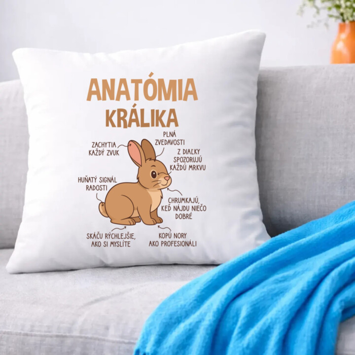 Anatómia králika - vankúš s potlačou