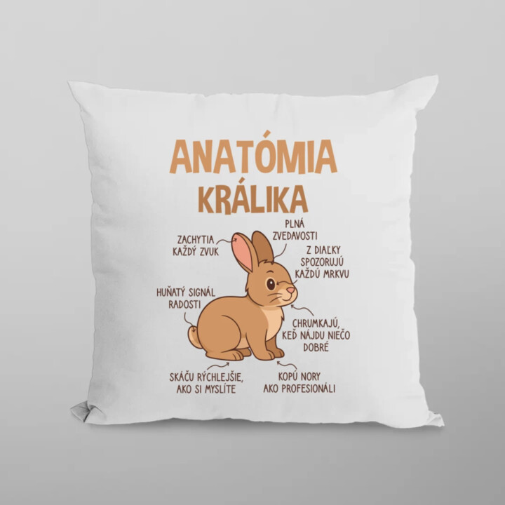 Anatómia králika - vankúš s potlačou