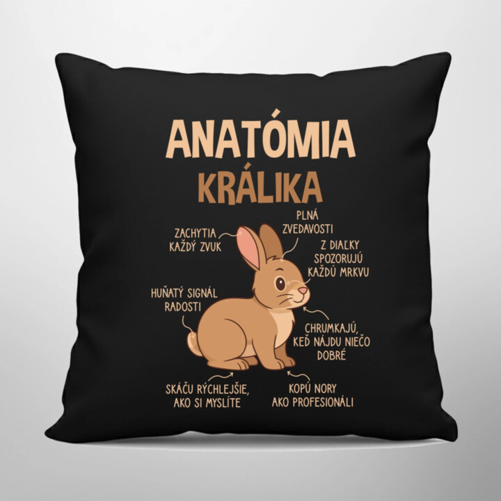 Anatómia králika - čierny vankúš s potlačou