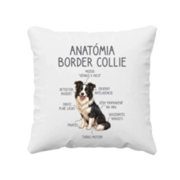 Anatómia border collie - vankúš s potlačou