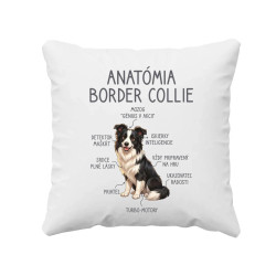 Anatómia border collie - vankúš s potlačou