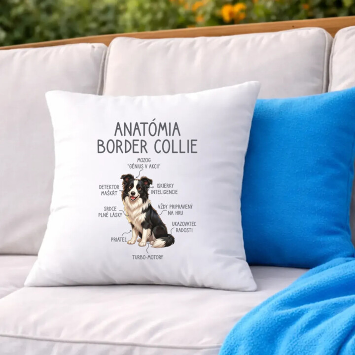 Anatómia border collie - vankúš s potlačou