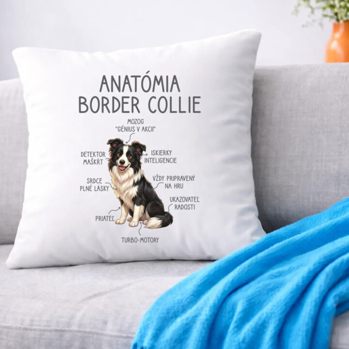 Anatómia border collie - vankúš s potlačou
