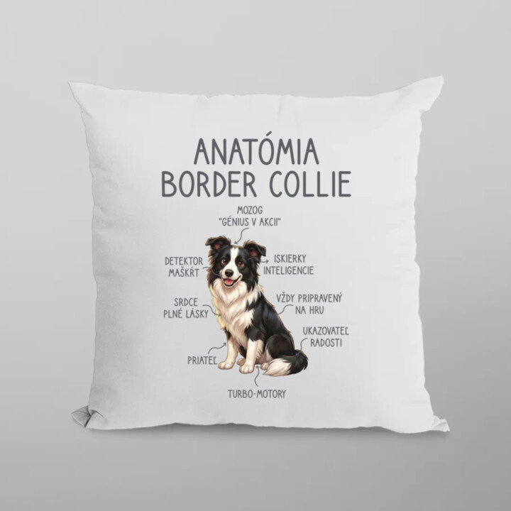 Anatómia border collie - vankúš s potlačou