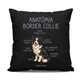 Anatómia border collie - čierny vankúš s potlačou