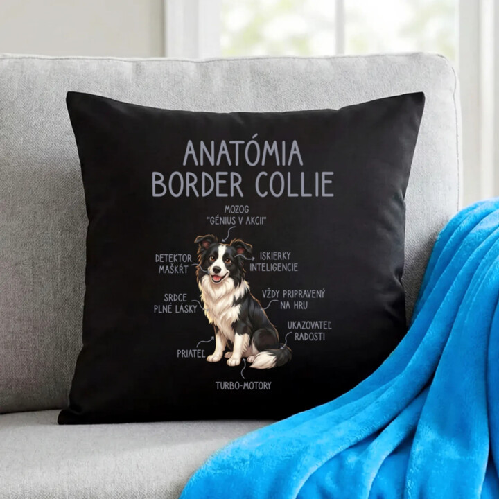Anatómia border collie - čierny vankúš s potlačou