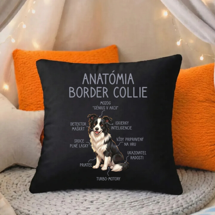 Anatómia border collie - čierny vankúš s potlačou