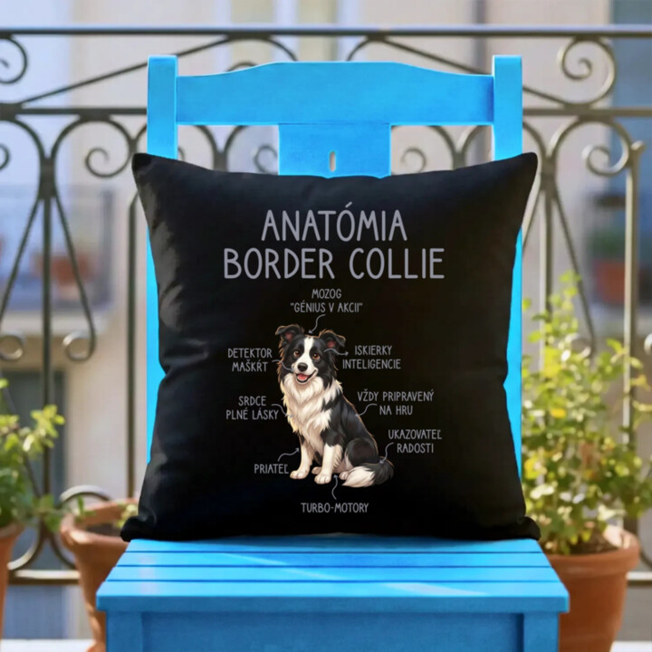 Anatómia border collie - čierny vankúš s potlačou