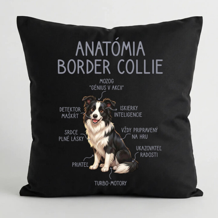 Anatómia border collie - čierny vankúš s potlačou