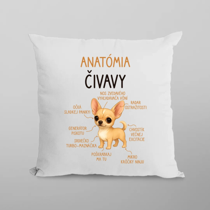 Anatómia čivavy - vankúš s potlačou