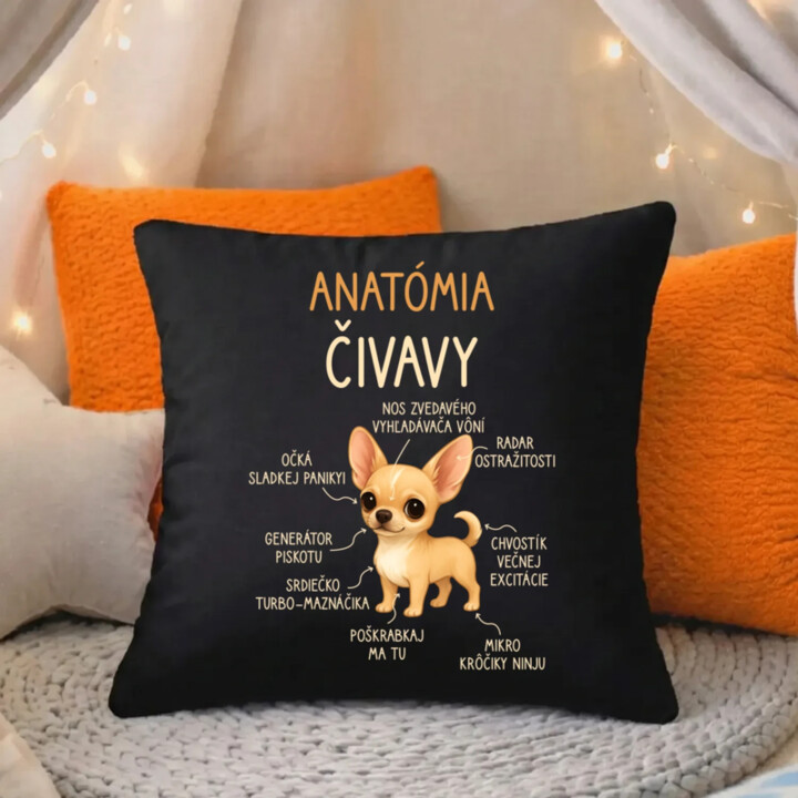 Anatómia čivavy - čierny vankúš s potlačou