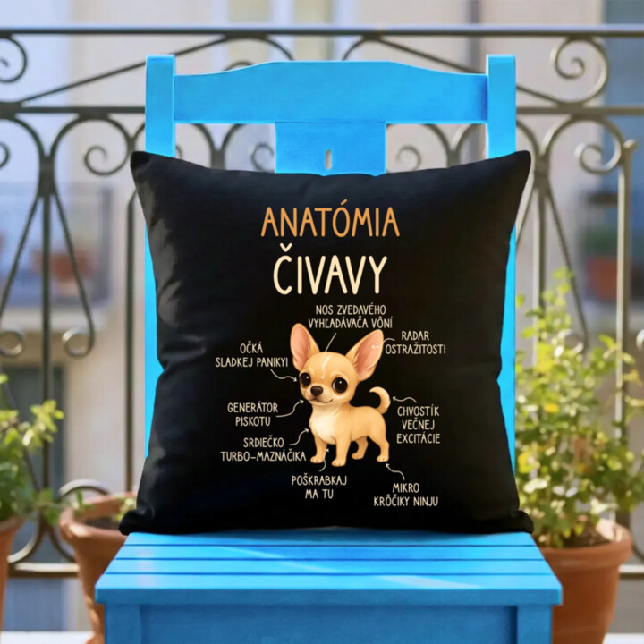 Anatómia čivavy - čierny vankúš s potlačou