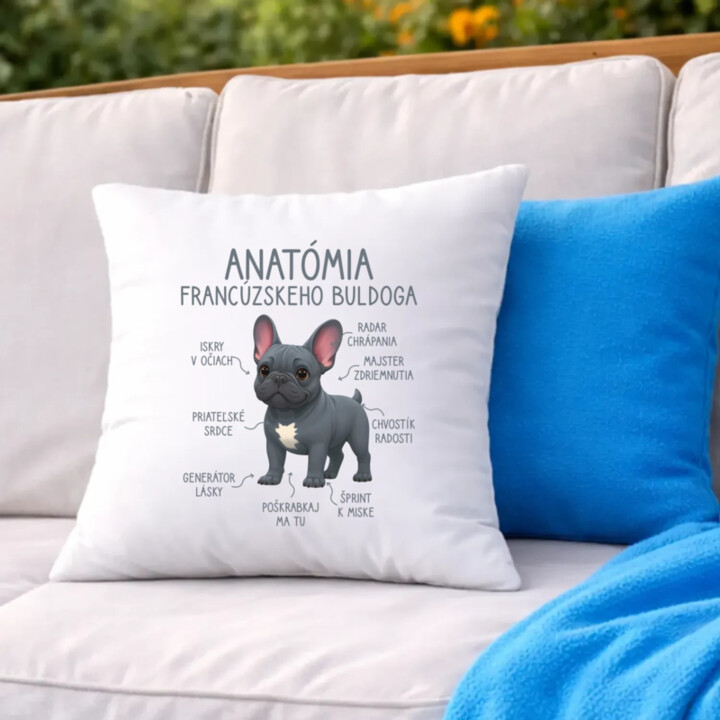 Anatómia francúzskeho buldoga - vankúš s potlačou