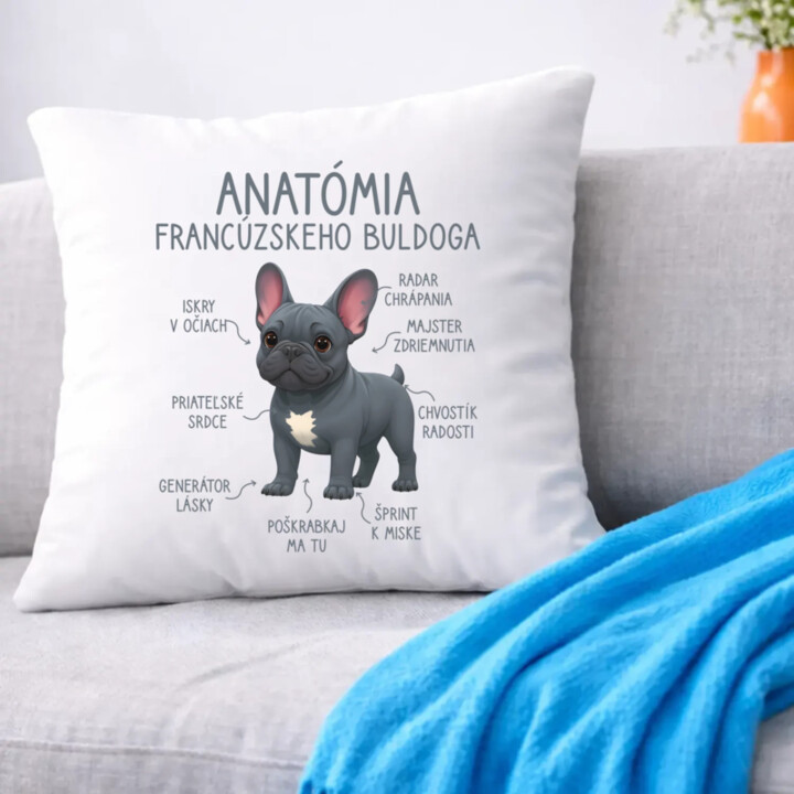 Anatómia francúzskeho buldoga - vankúš s potlačou