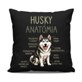 Husky anatómia - čierny vankúš s potlačou