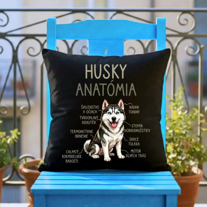 Husky anatómia - čierny vankúš s potlačou