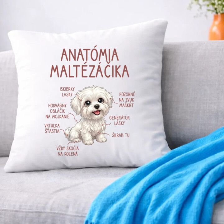 Anatómia maltézáčika - vankúš s potlačou