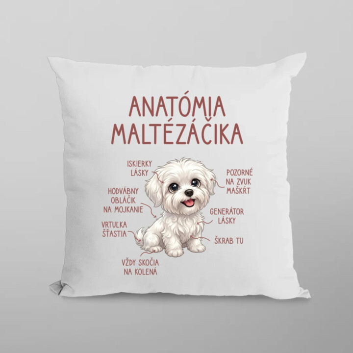 Anatómia maltézáčika - vankúš s potlačou