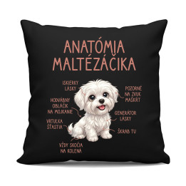 Anatómia maltézáčika - čierny vankúš s potlačou