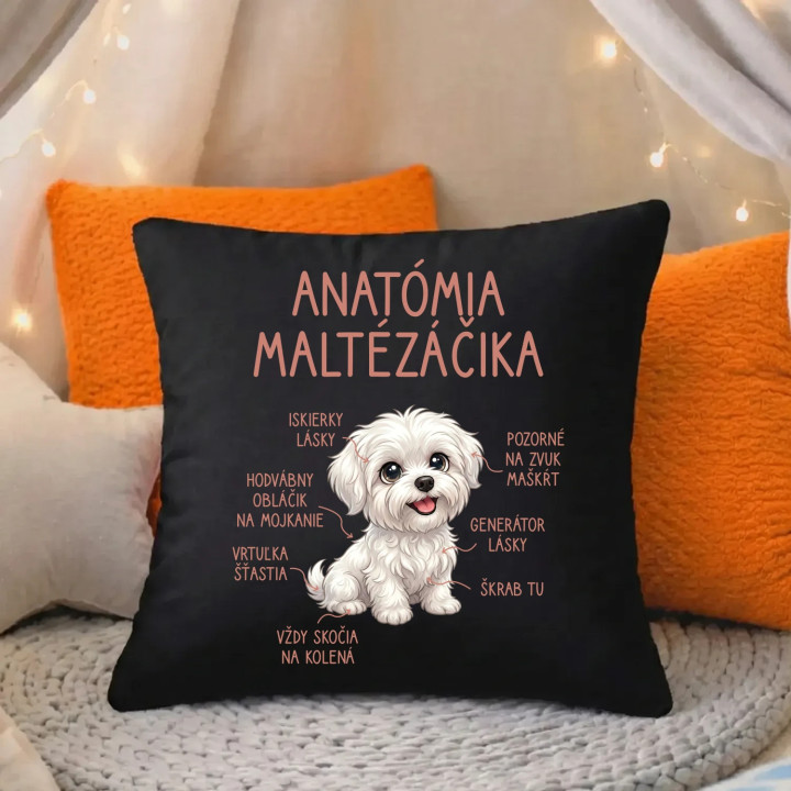 Anatómia maltézáčika - čierny vankúš s potlačou